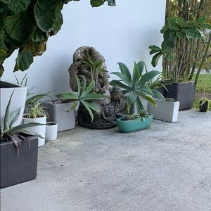 Meet your Posher, Yordaily